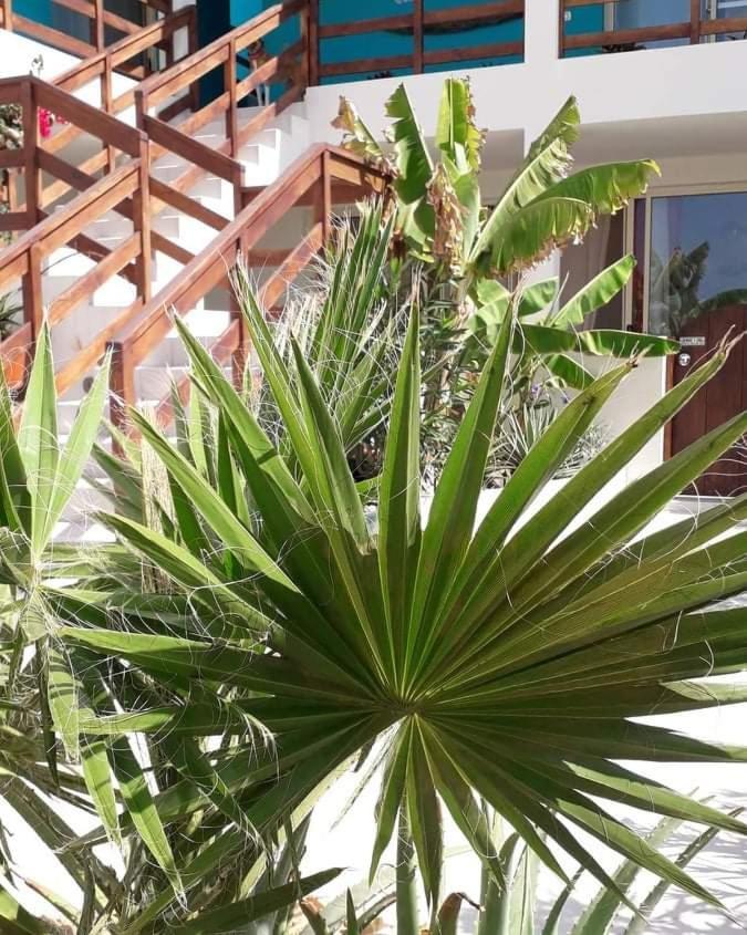 B&B Sereia Azul Boa Vista Sal Rei Ngoại thất bức ảnh